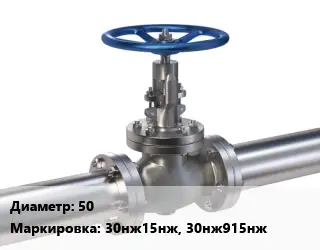 Задвижка нержавеющая 50 30нж15нж, 30нж915нж Ру40 клиновая